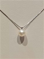 Collana Davite & Delucchi Donna CLASSIC LINE in Oro bianco Perla CLNP11249